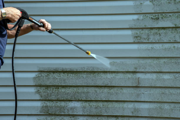 Best Affordable Pressure Washing  in Poplarville, MS